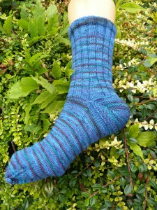 TropicalStormSocks1