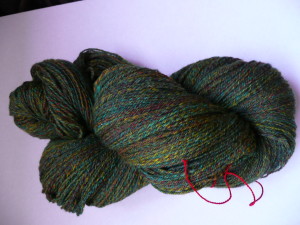 DayTenRainbowMerino